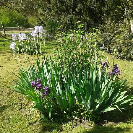 Tatil Evi Des Croix Bancaud
